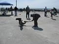 2-LA Venice 0005